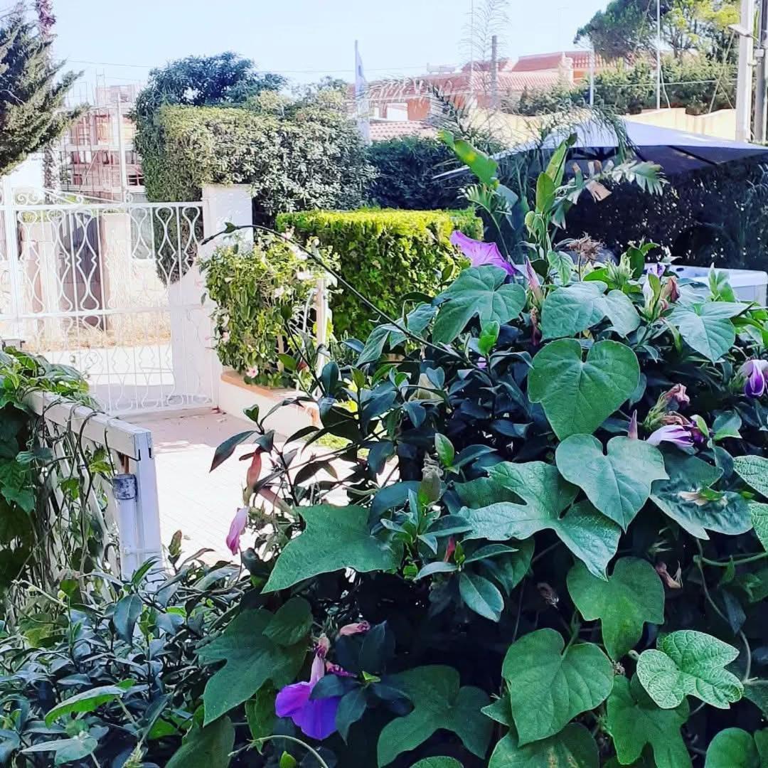 B&B Marzamemi Zewnętrze zdjęcie